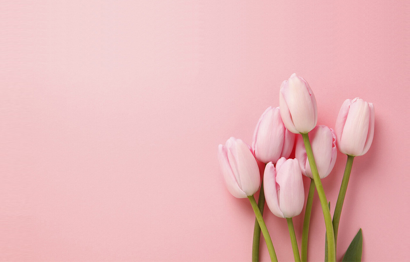 Sweet Blossom